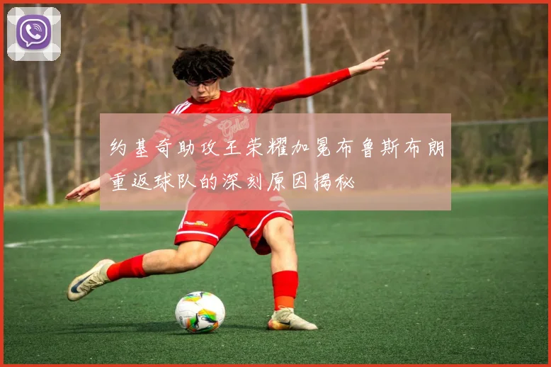 约基奇助攻王荣耀加冕布鲁斯布朗重返球队的深刻原因揭秘